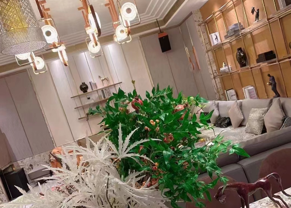 QQ浏览器截图20230814214136.png